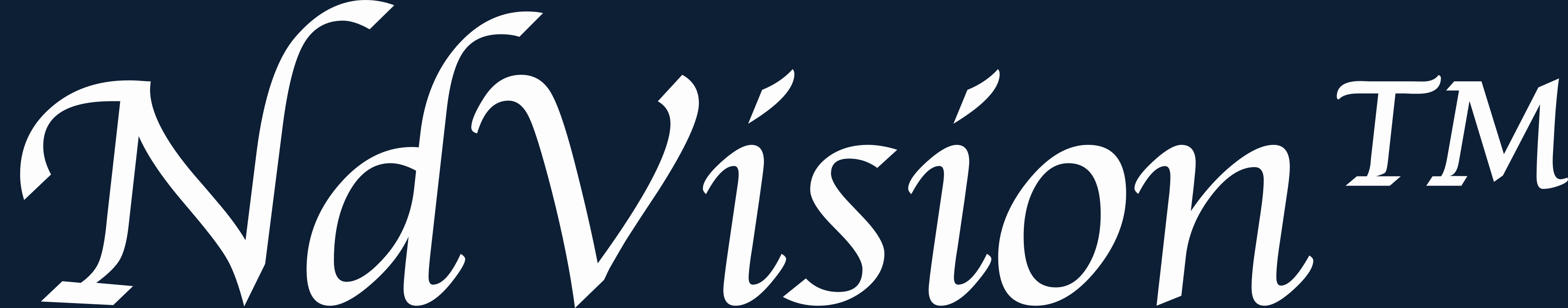 NdVision Inc. logo